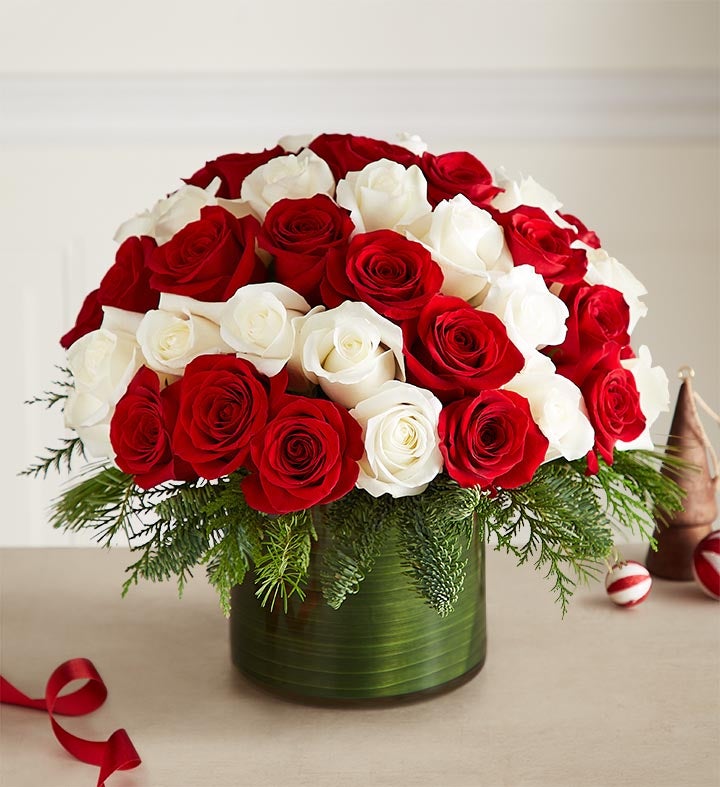 ROSE❣️ Candy Cane Swirl™ Roses | 1800Flowers.com