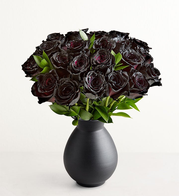 Midnight Black Roses