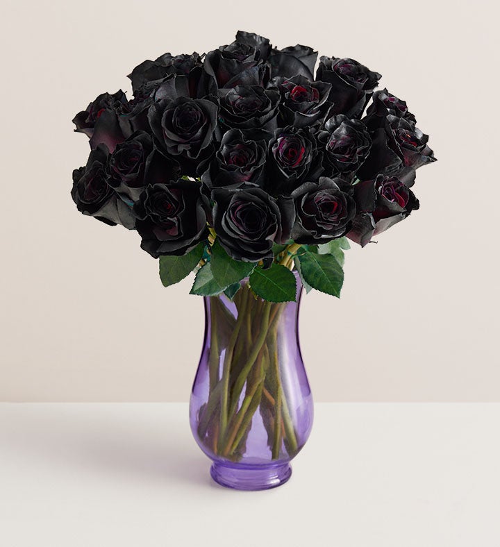 Midnight Romance Black Roses