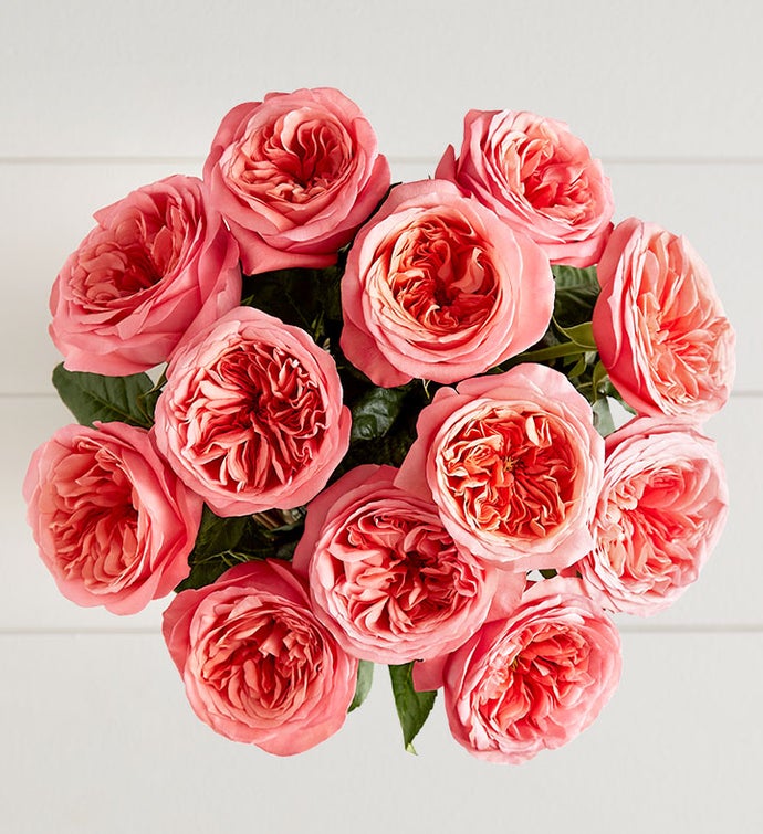 Pink Garden Roses