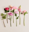 Mother's Embrace™ Bouquet