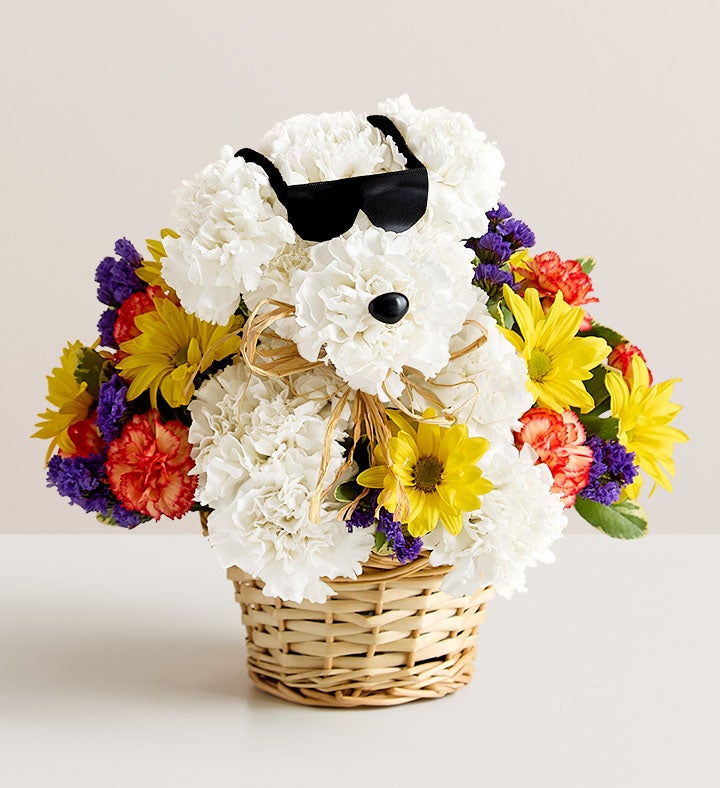 xmw∗∗∗∗∗∗∗∗1 a-DOG-able® for Fall | 1800Flowers.com