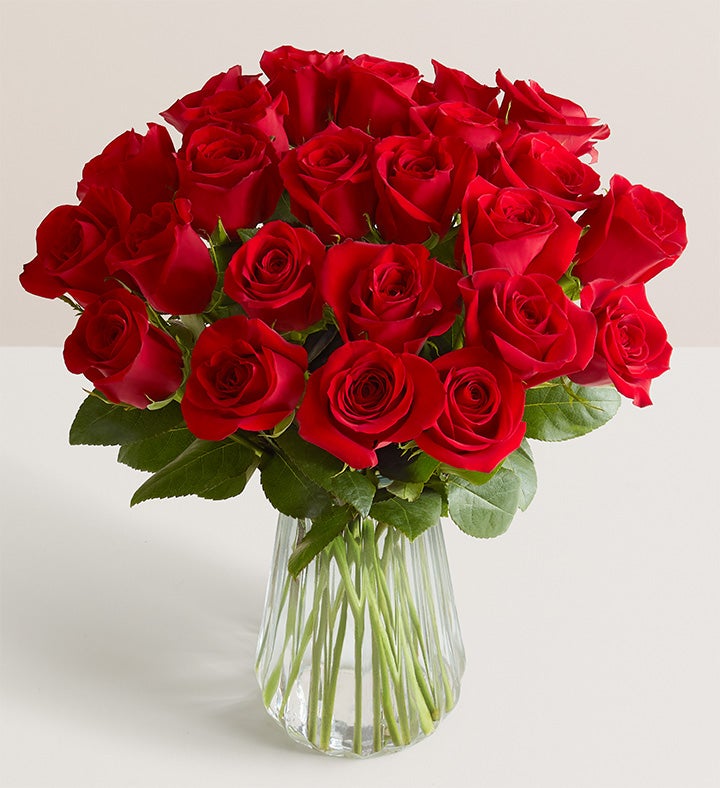 Two Dozen Red Roses