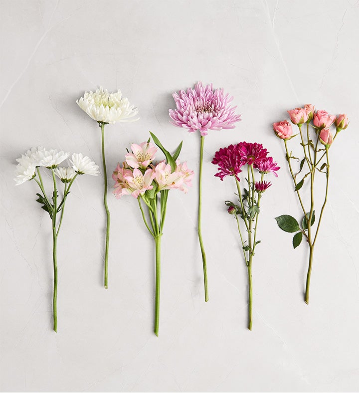Bouquet of the Month: Endless Summer™