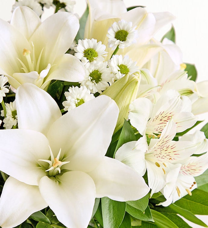 White Lily Bouquet with The Adventure Begins Vase