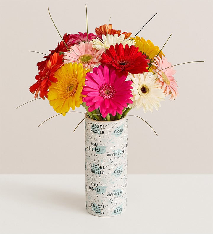 1-800-Flowers Flower Delivery Gerbera Daisies W/ New Horizons Vase