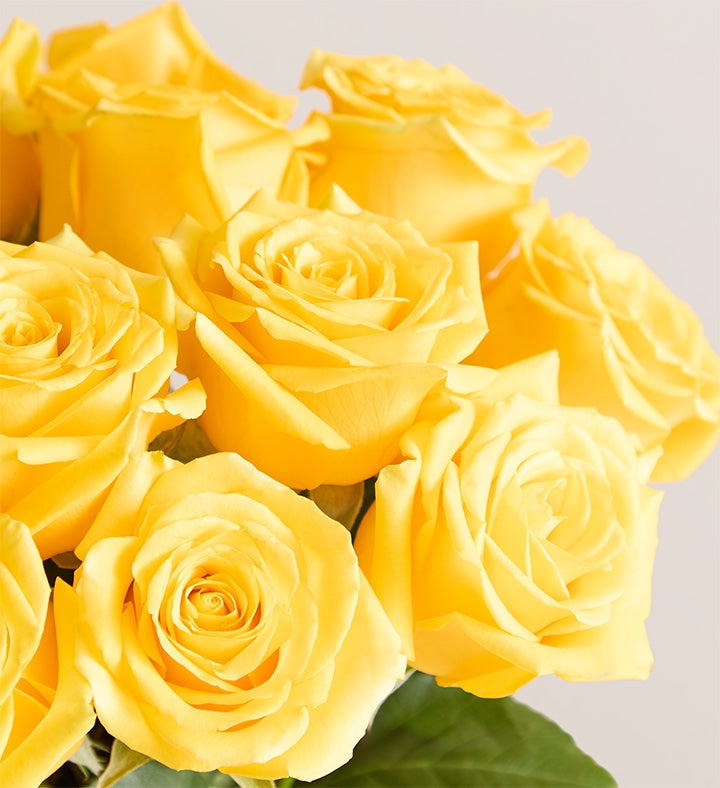 Yellow Roses with Con grad ulations Vase