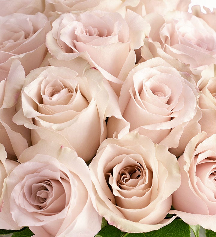 Contemporary Sand Roses™ | Pink Flower Arragements | 1800Flowers