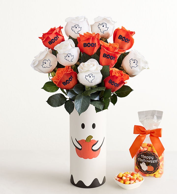 All Hallows Eve Conversation Roses™