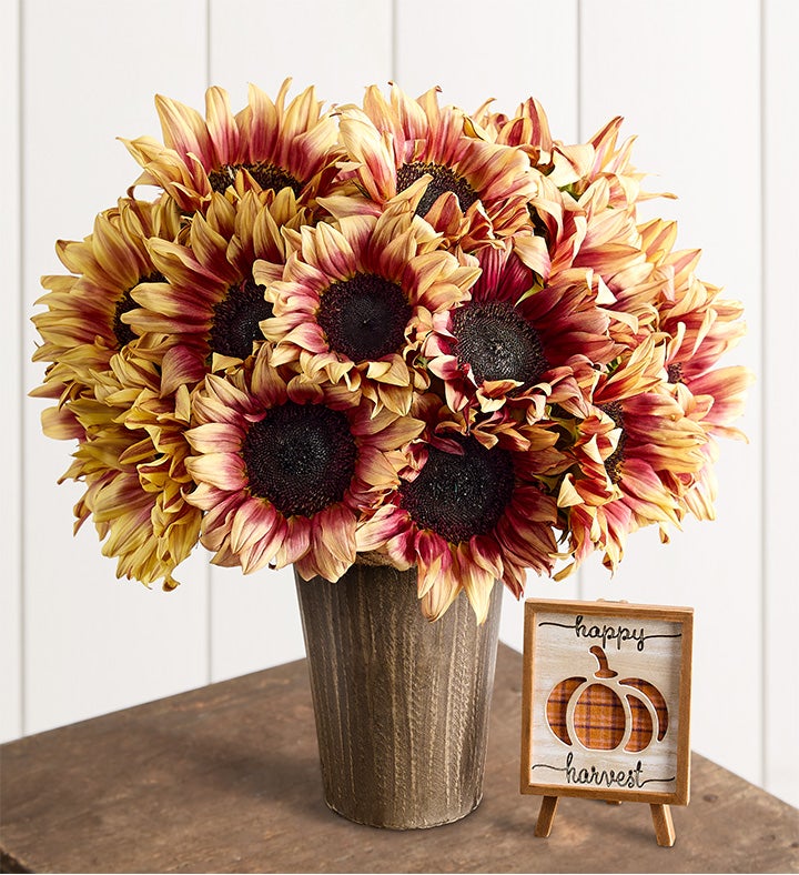 Bordeaux Harvest™ Sunflowers