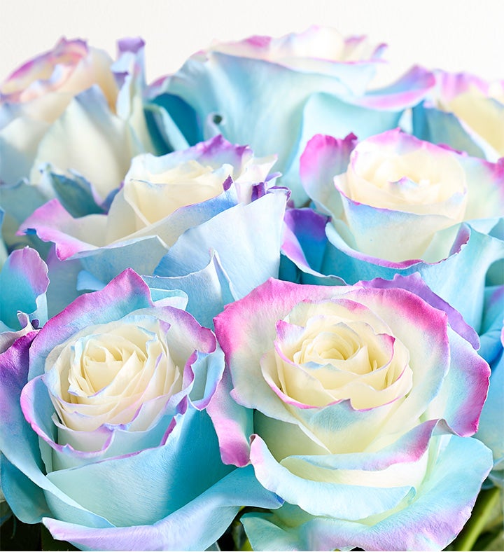Watercolor Roses: Lapis™