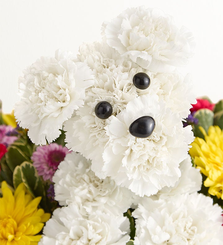 ‎٩( ᐛ )و Party Pooch™ | Fun Birthday Flower Arrangments | 1800Flowers