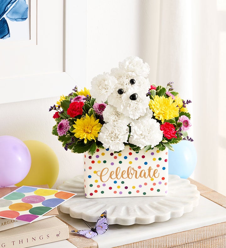 ‎٩( ᐛ )و Party Pooch™ | Fun Birthday Flower Arrangments | 1800Flowers