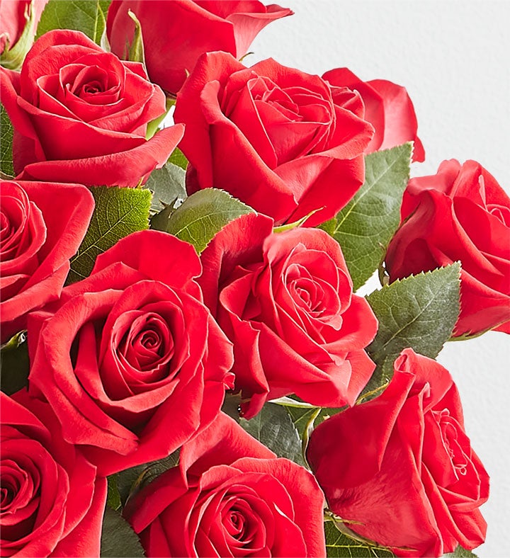 Red Roses in Luxury Posh™ Vase