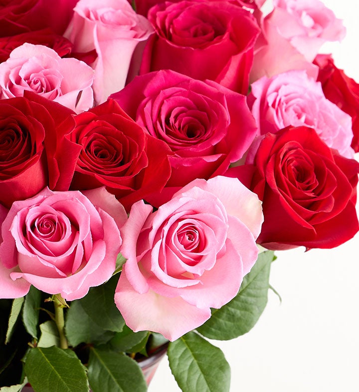 m-rose☆ Deluxe Enchanted Rose Medley Bouquet, 36 Stems | 1800Flowers