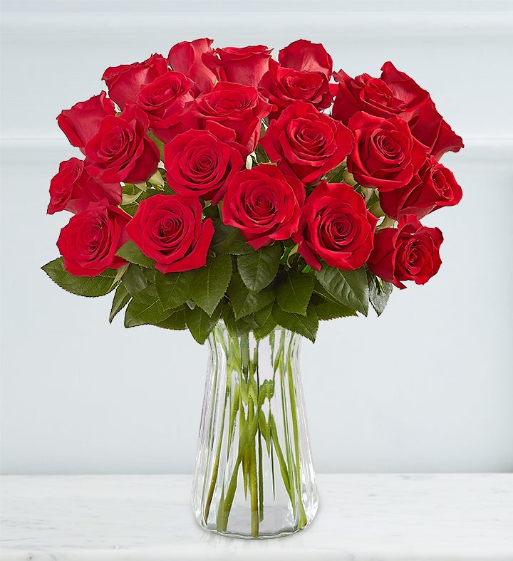 Sparkle Her Day Two Dozen Red Roses