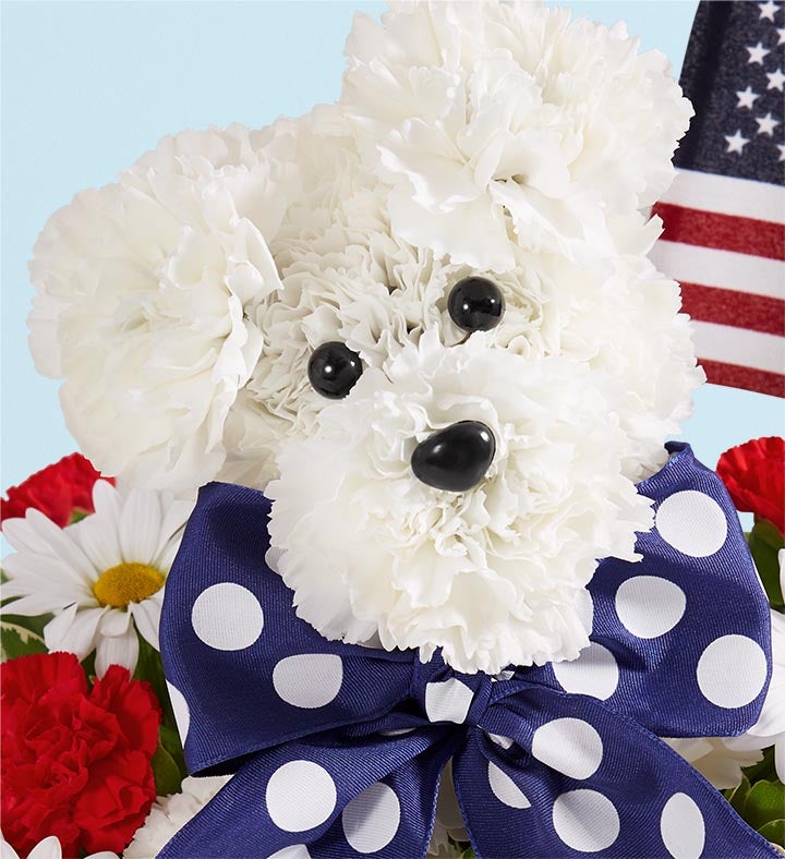 FOMARE「今/GIFT/1095」 Yankee Doodle Doggie™ | 1800Flowers