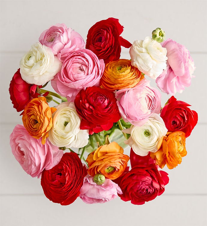 Radiant Ranunculus Bouquet