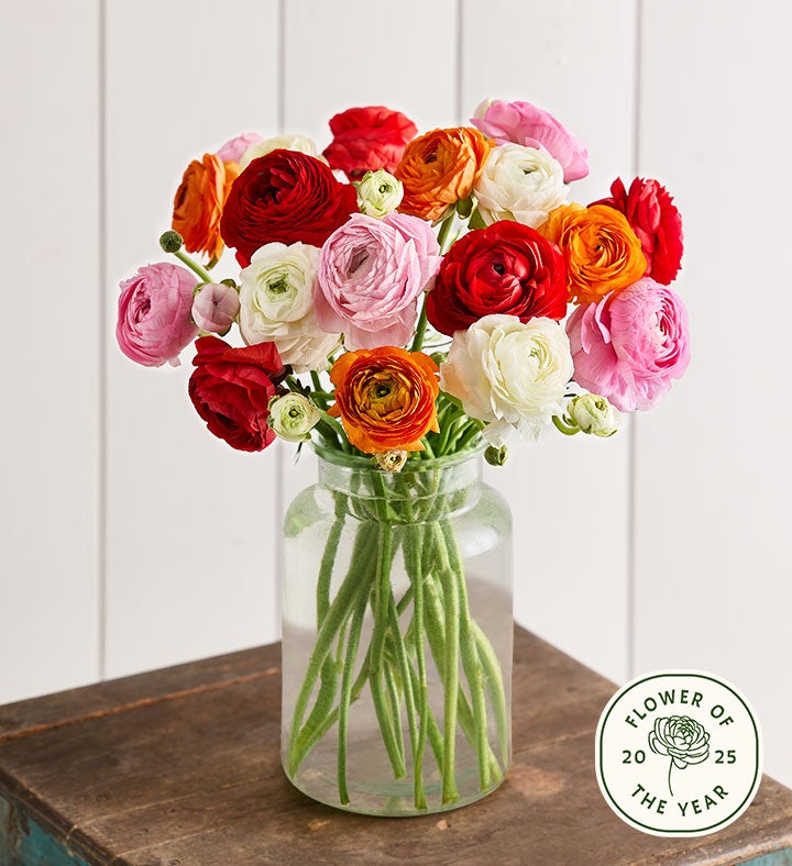 Radiant Ranunculus Bouquet