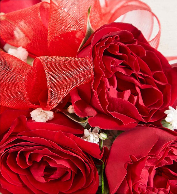 Red Spray Rose Corsage