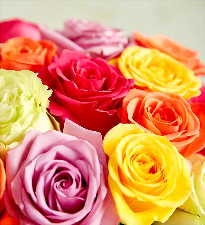 Bouquet of the Month: Two Dozen Assorted Roses