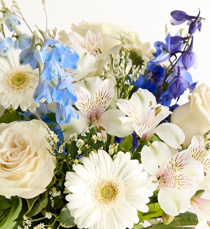 Treasured Memories ™ Blue and White | 1800Flowers.com