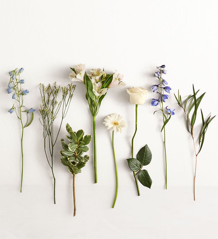 eas. Flower様 Treasured Memories ™ Blue and White | 1800Flowers.com