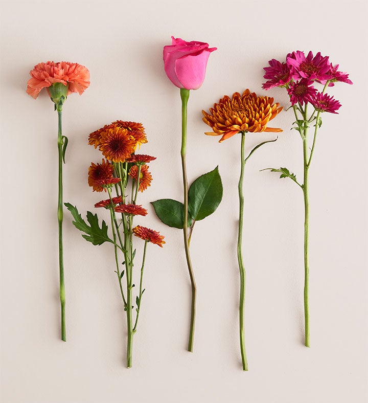 Bouquet of the Month: Autumn Beauty | 1800Flowers