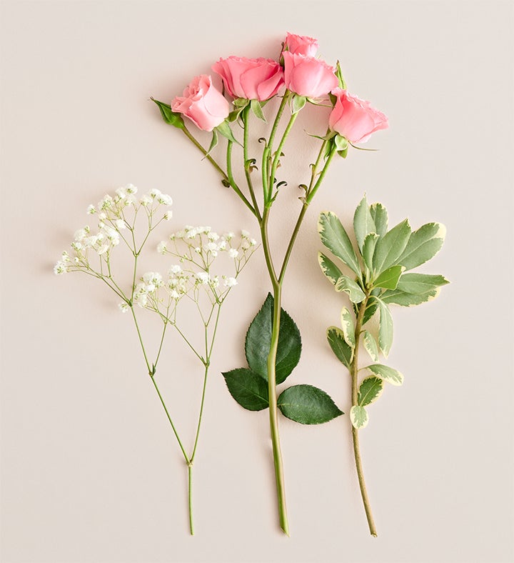 Pink Spray Rose Corsage and Boutonniere