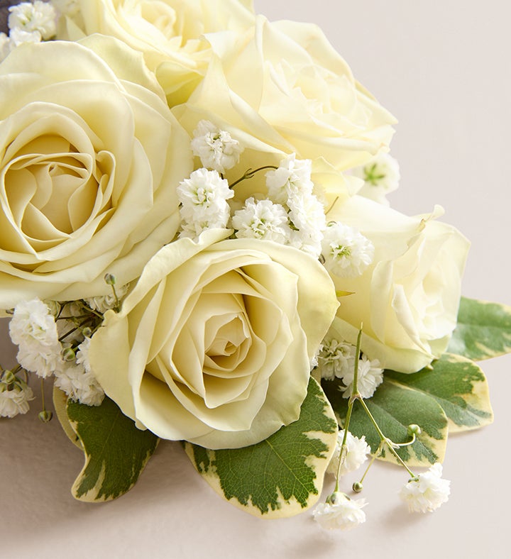 White Spray Rose Corsage