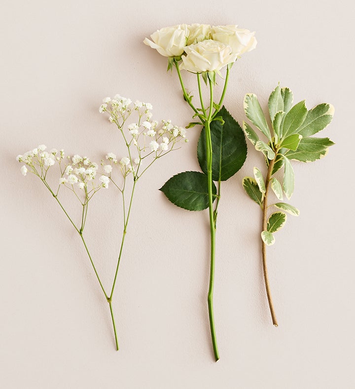 White Spray Rose Corsage