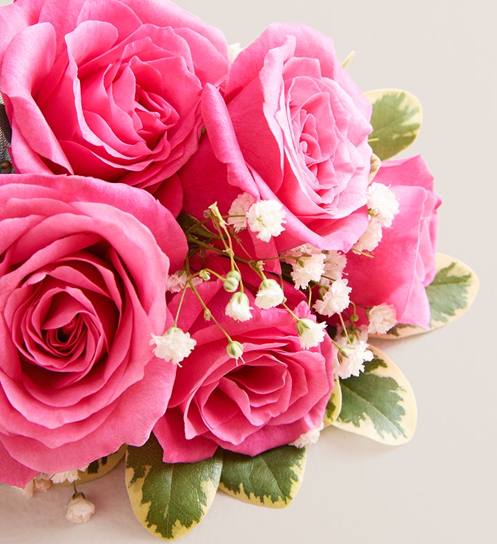 Hot Pink Spray Rose Corsage
