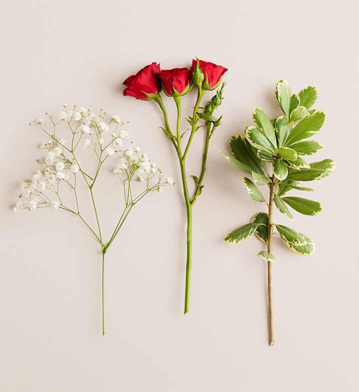 Red Spray Rose Corsage & Boutonniere