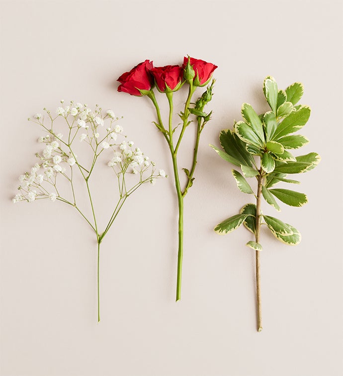 Red Spray Rose Corsage & Boutonniere