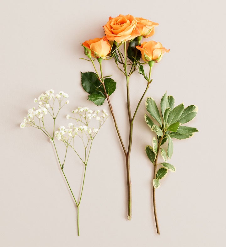 Orange Spray Rose Corsage | 1800Flowers.com