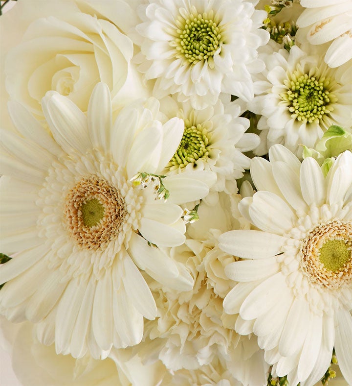Prom Bouquet - White | 1800Flowers.com