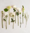 Bouquet of the Month: Meadow Breeze™