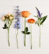 Sweet Sunsets Bouquet