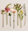 Spring Garden Bouquet