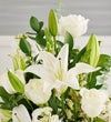 Asymetrical Cremation Arrangement- All White