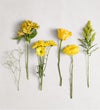 Radiant Sunshine Bouquet