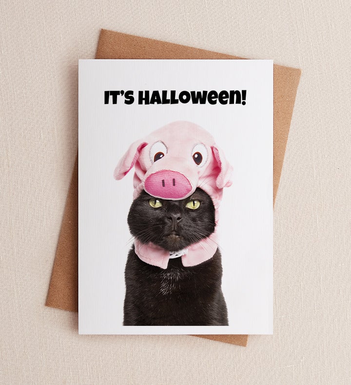 Cat Halloween Halloween Greeting Card