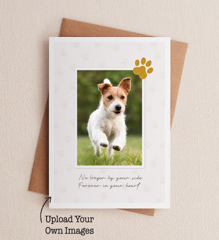 Pet Photo Sympathy Greeting Card