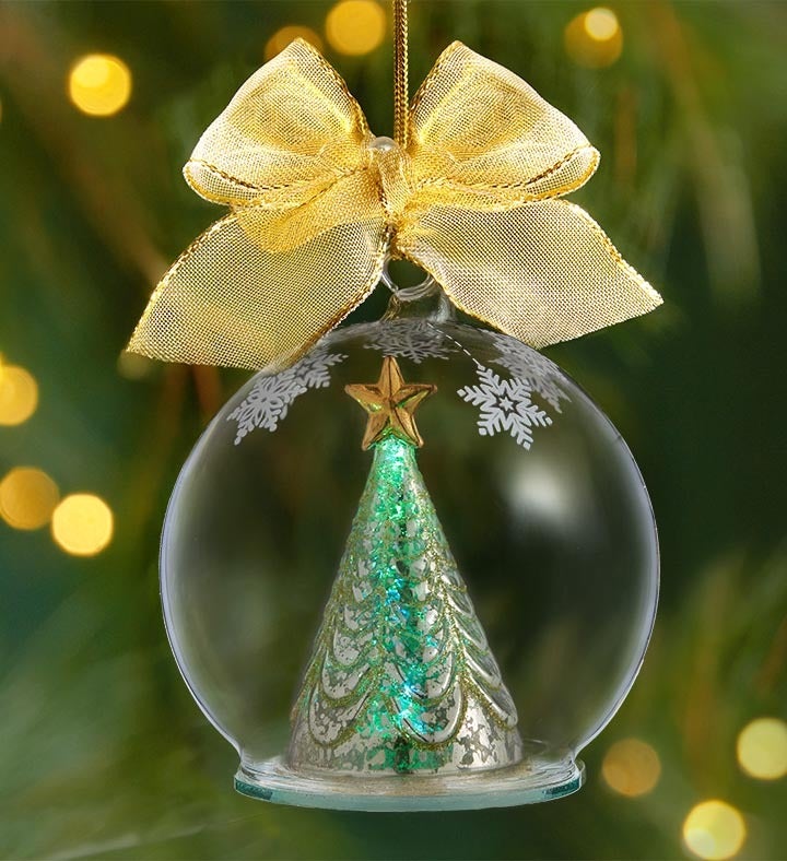 Silent Night White Poinsettia