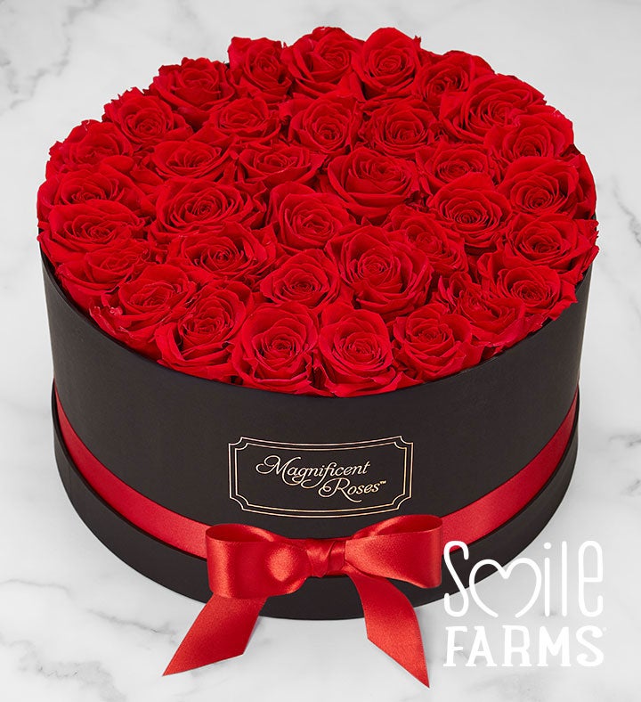 1-800-Flowers Flower Delivery Magnificent Roses Preserved Red Roses Three Dozen