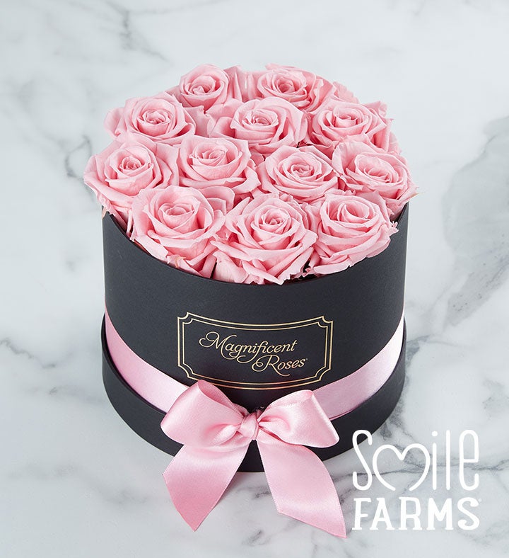 1-800-Flowers Flower Delivery Magnificent Roses Preserved Pink Roses One Dozen