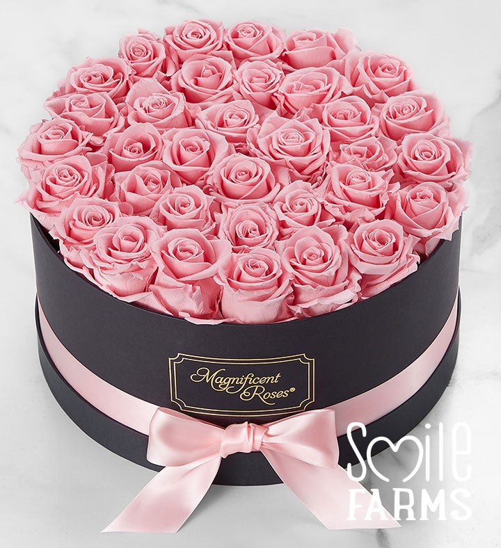1-800-Flowers Flower Delivery Magnificent Roses Preserved Pink Roses Three Dozen