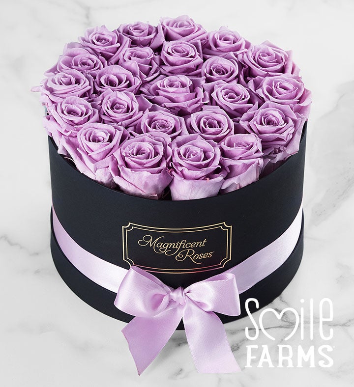 1-800-Flowers Flower Delivery Magnificent Roses Preserved Lavender Roses Two Dozen