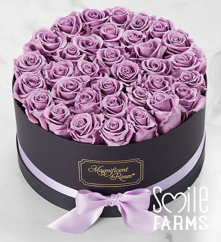 1-800-Flowers Flower Delivery Magnificent Roses Preserved Lavender Roses Three Dozen