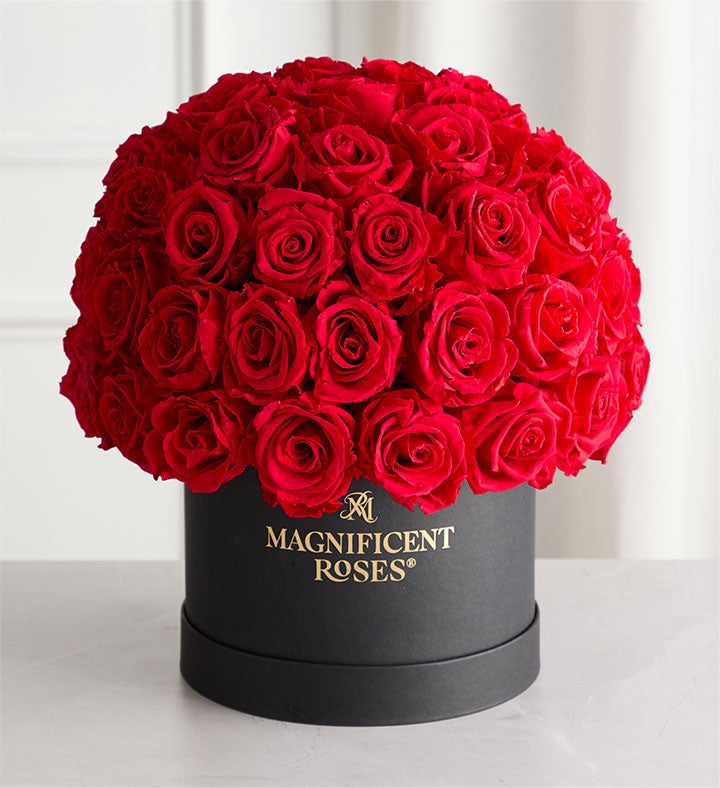 Magnificent Roses® Preserved Domani Red Roses